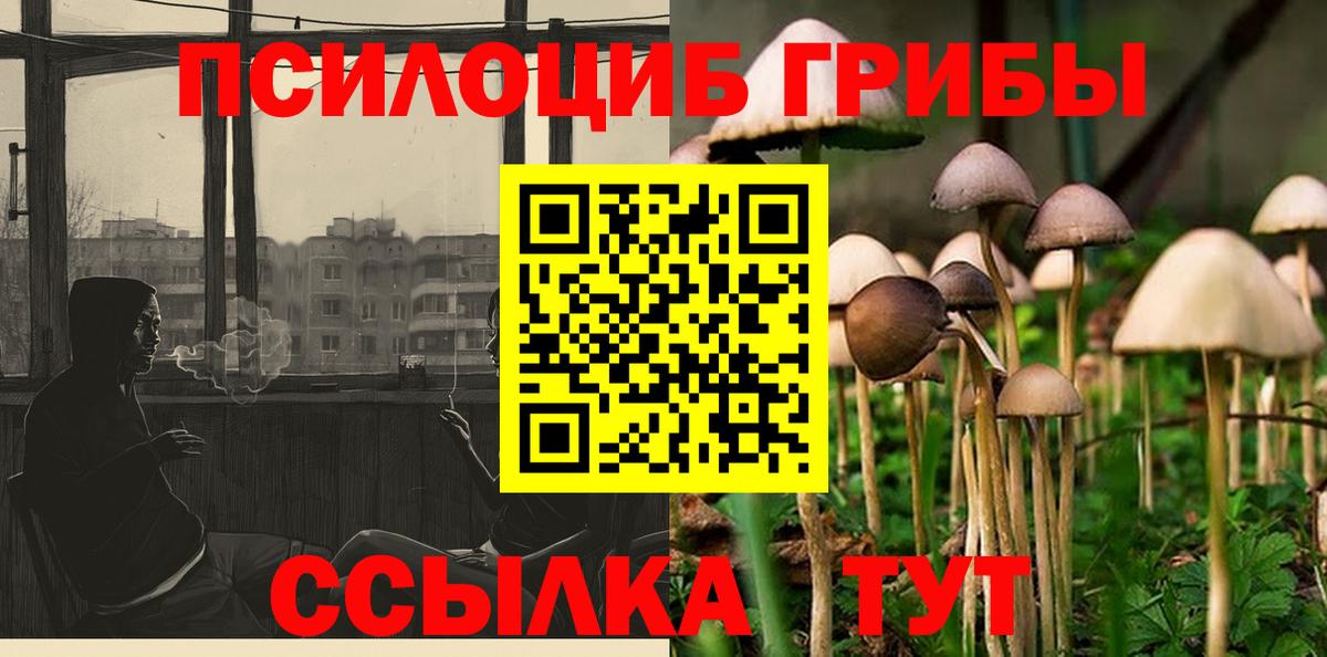 Псилоцибиновые грибы GOLDEN TEACHER Печора