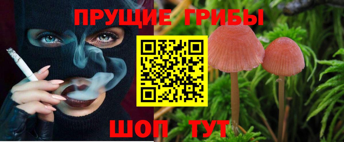Галлюциногенные грибы Magic Shrooms  Вход с VPN  Печора 